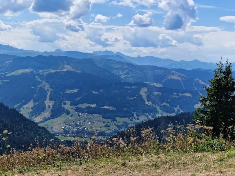 Appartement La Duchere Le Plan-La Giettaz Massif Des Aravis Εξωτερικό φωτογραφία