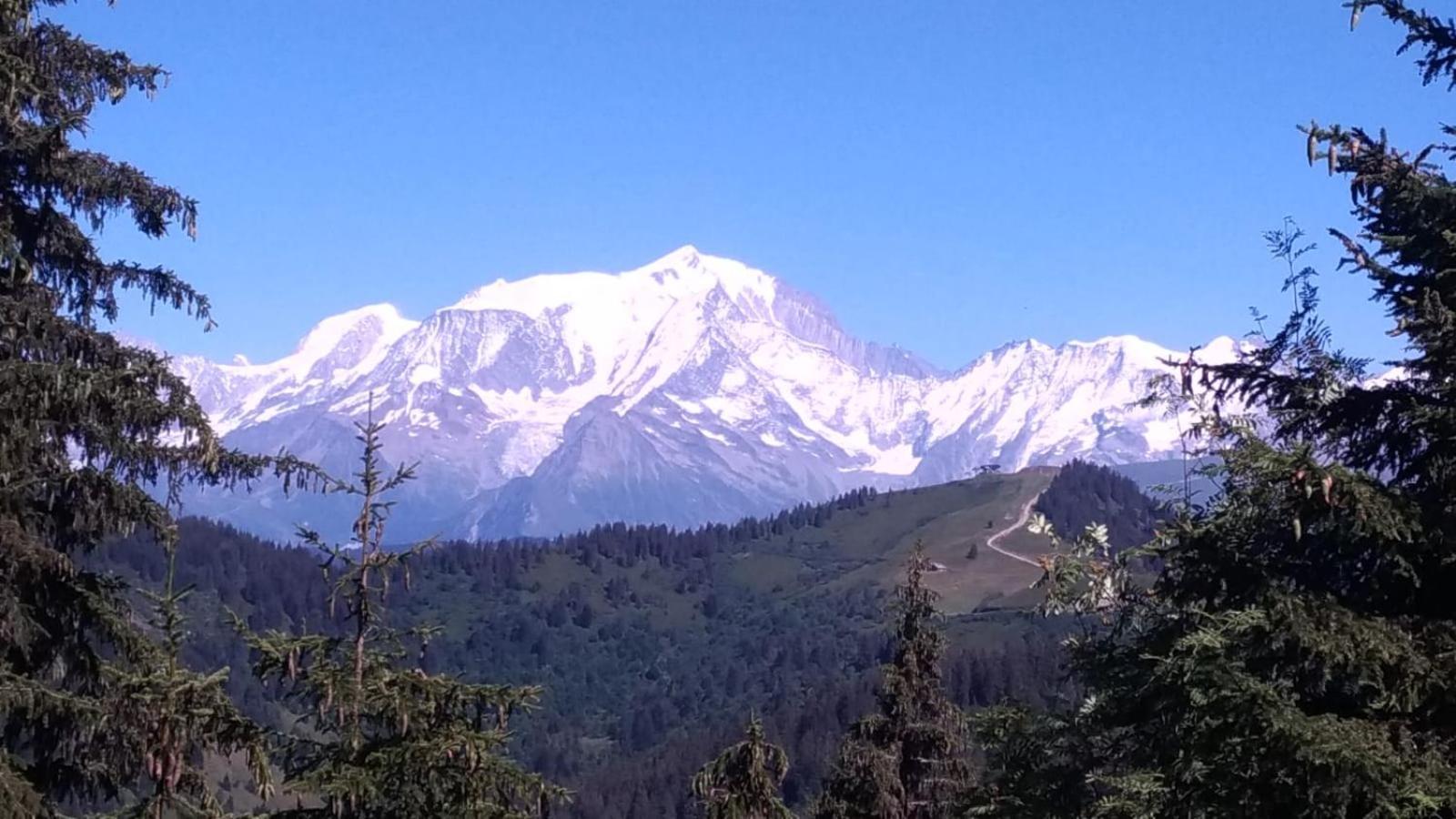 Appartement La Duchere Le Plan-La Giettaz Massif Des Aravis Εξωτερικό φωτογραφία