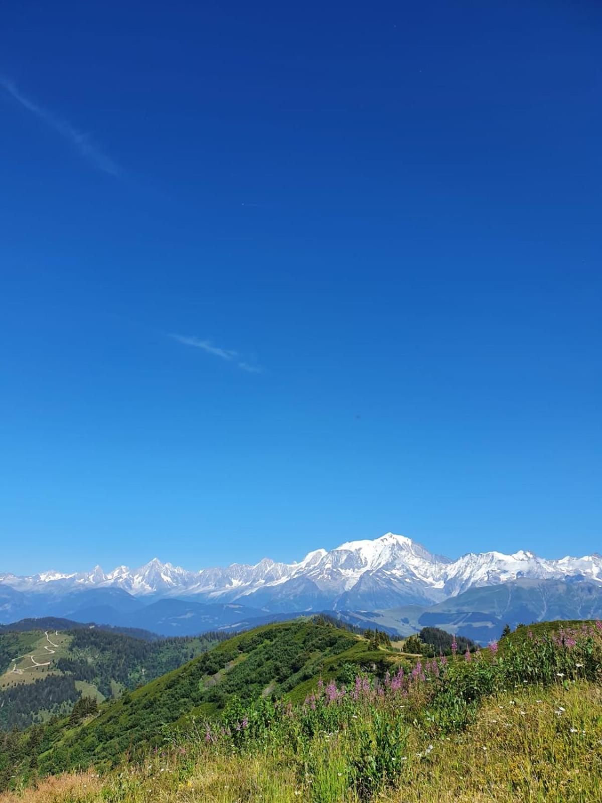 Appartement La Duchere Le Plan-La Giettaz Massif Des Aravis Εξωτερικό φωτογραφία