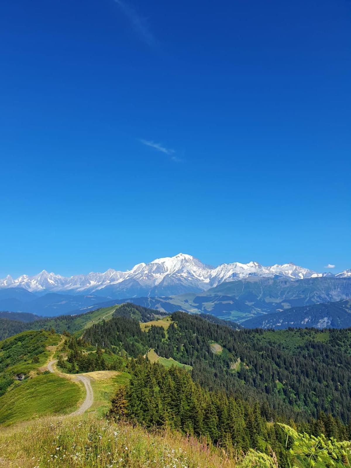 Appartement La Duchere Le Plan-La Giettaz Massif Des Aravis Εξωτερικό φωτογραφία