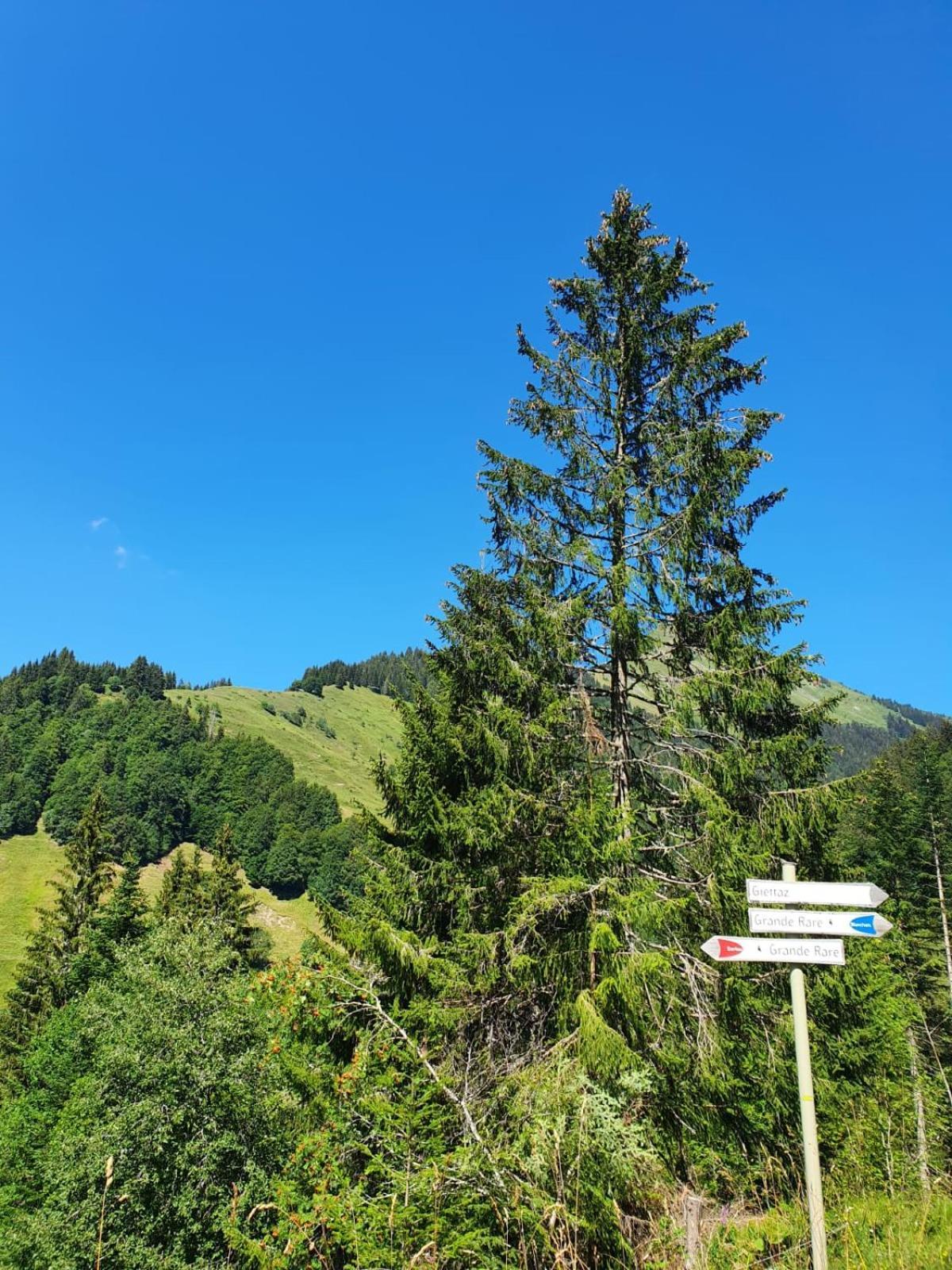 Appartement La Duchere Le Plan-La Giettaz Massif Des Aravis Εξωτερικό φωτογραφία