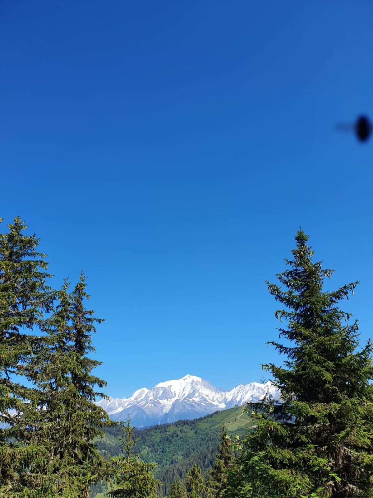 Appartement La Duchere Le Plan-La Giettaz Massif Des Aravis Εξωτερικό φωτογραφία